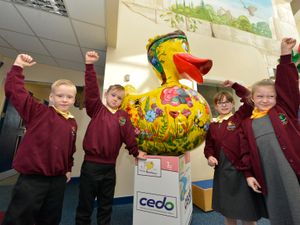 Supporting image for story: Quacking news as school wins bidding to bring duck back home