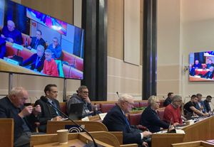 Members of Dudley's Communities and Growth Scrutiny Committee at their meeting in January 2026. Picture Martyn Smith/LDRS free for LDRS use