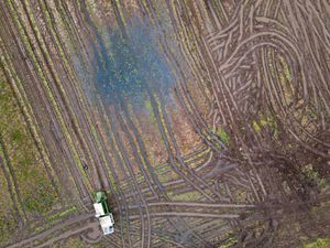 Supporting image for story: Nature decline and rising temperatures pose risk to UK food security – report