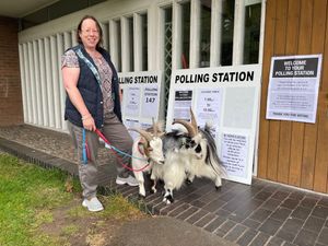 Supporting image for story: Woman takes two pet pygmy goats to polling station