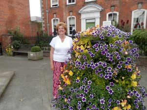 Supporting image for story: Volunteers sought to plant town's floral displays