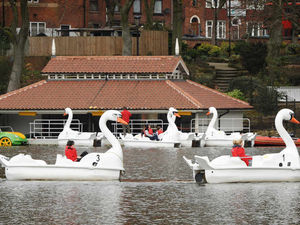 Supporting image for story: Look who's back! Swan boats make a spring splash at Walsall Arboretum