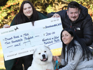 Supporting image for story: Pawtrait Pets: Top dogs bring in a nice little Christmas bonus for owners
