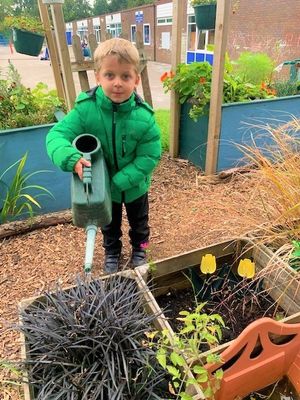 Beau Haycocks helping out with watering