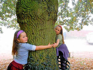 Supporting image for story: Rob setting off on year-long tree trek