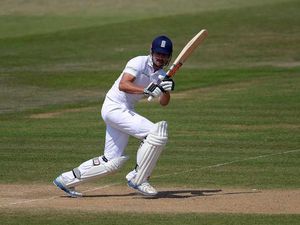 Supporting image for story: Cricket is theme for festival brews