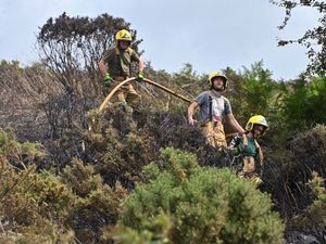Supporting image for story: Watch: Firefighters remain on scene in south Shropshire day after huge hillside wildfire