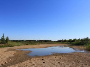 Supporting image for story: Nature battered by ‘chaotic’ weather extremes driven by climate change – report