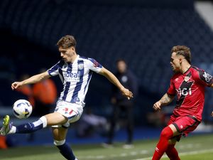 Supporting image for story: 'It could certainly help': How potential Torbjorn Heggem could aid West Brom in keeping Tom Fellows
