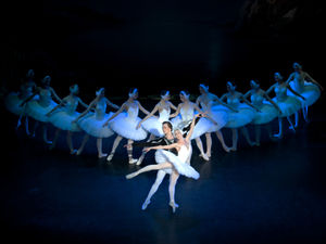 Supporting image for story: St Petersburg Classic Ballet presents Swan Lake, Symphony Hall, Birmingham - review