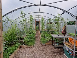The greenhouse leading to the micro-farm