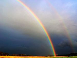 Supporting image for story: Heather Large: Heart-warming tales boost our morale