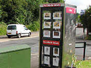 Supporting image for story: Artwork in phone box is stolen on first day