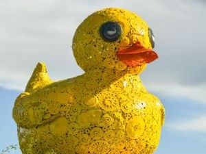 Supporting image for story: Is this the world's largest rubber duck?: Giant sculpture unveiled at Shropshire visitor attraction