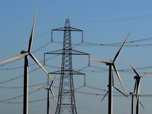 Wind farm developments could wipe out freshwater pearl mussels