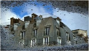 Tuileries Puddle by Dave Collier