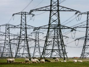 Supporting image for story: Rees-Mogg to unveil details of business  support package