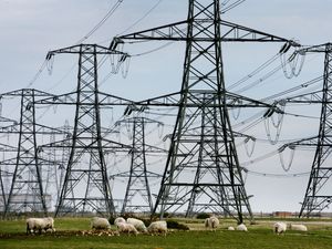 Supporting image for story: Rees-Mogg to unveil details of business  support package