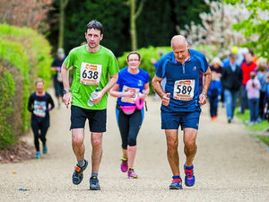Supporting image for story: Ironbridge half marathon gives runners pleasure and pain