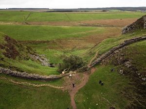 Supporting image for story: Sycamore Gap accused told police he was framed by someone ‘stirring the pot’