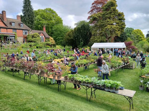 Supporting image for story: Kington's Hergest Croft Gardens Autumn Plant Fair attracts record exhibitors