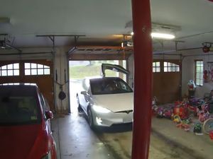 Supporting image for story: Tesla owner whacks raised Model X falcon door in careless garage act