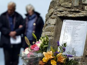 Supporting image for story: Brother of pilot killed in crash questions decision to close files for 100 years