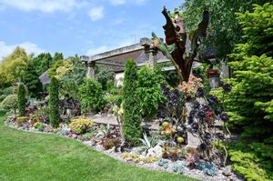 John Massey's garden oasis.