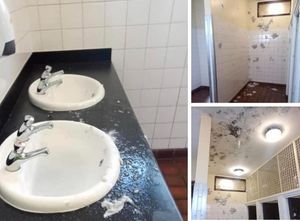 Supporting image for story: Vandals attack toilets putting their future in doubt