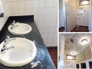 Supporting image for story: Vandals attack toilets putting their future in doubt