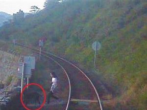 Supporting image for story: Watch as North Wales train driver narrowly misses man and his dogs at popular tourist destination