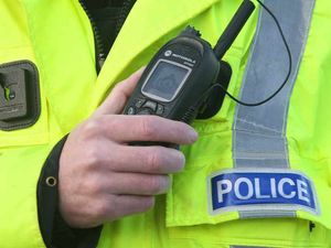Supporting image for story: Shropshire man, 22, killed puppy and cat after they messed on the carpet
