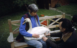 Megan Morris-Jones of Cuan Wildlife Rescue