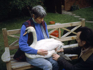 Supporting image for story: Inspiring journey behind Cuan Wildlife Rescue draws packed crowd
