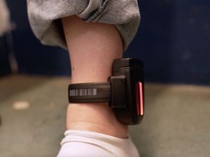 Supporting image for story: Tagging criminals in prison to be trialled to close ‘surveillance gap’