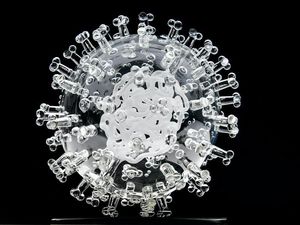 Supporting image for story: Scientists call for research into whether mouthwash could reduce Covid-19 spread