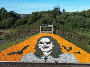 Supporting image for story: Stunning Ozzy Osbourne mosaic by farm using 10,000 pumpkins pays tribute to the Prince of Darkness ahead of Halloween