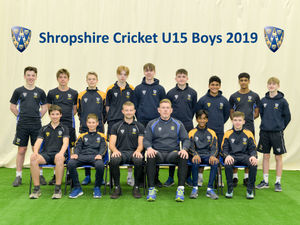 Supporting image for story: Openers lead the victory charge