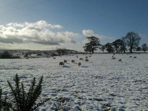 Supporting image for story: Website to track Shropshire school closures over weather