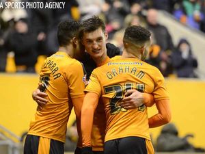 Supporting image for story: Wolves 3 Fulham 2 - Report and pictures