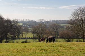 Hilltop is in a stunning location