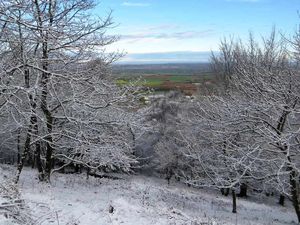 Supporting image for story: Pictures: Spring snow in Shropshire