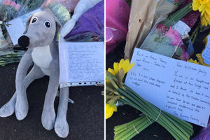 A toy greyhound and daffodils were among tributes left outside the family home