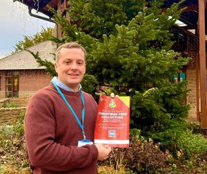 Supporting image for story: The Nightingale House Christmas Tree Collection returns for 2025