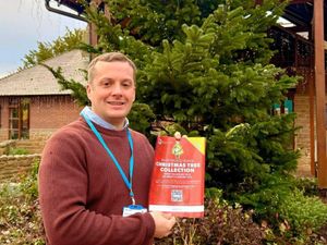 Supporting image for story: The Nightingale House Christmas Tree Collection returns for 2025