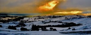 Taken at the Stiperstones by Tom Shuker