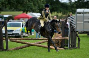 Minsterley Show near Shrewsbury..
