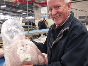 Supporting image for story: Christmas poultry auction in Shrewsbury is busy as geese sell for £200 
