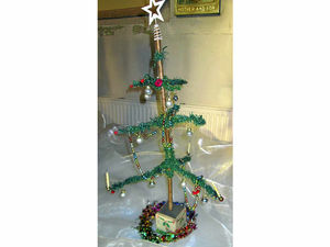 Supporting image for story: Is this Shropshire's oldest Christmas tree?