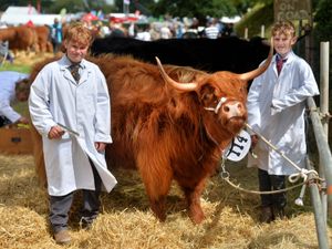 Supporting image for story: Minsterley Show is a window to the farming world for visitors
